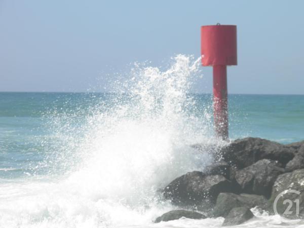 Terrain à vendre  338 m2 MIMIZAN - 40