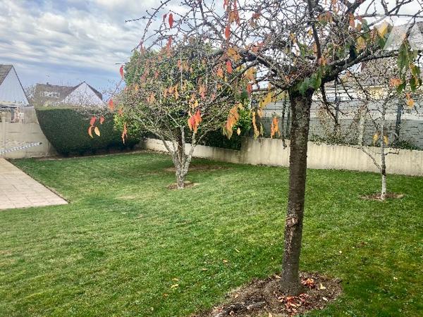 SAINT-QUENTIN, QUARTIER CEPY, PROXIMITE HOPITAL, PAVILLON 4 CHAMBRES