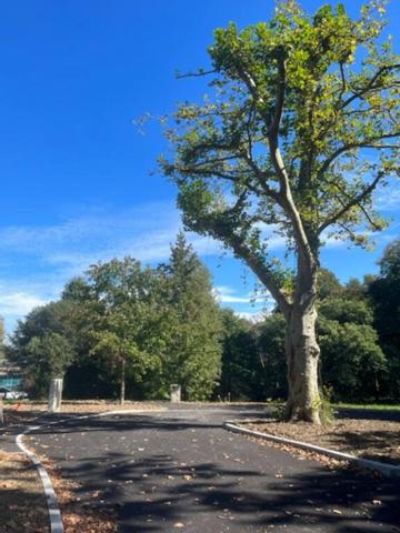 Terrain à vendre de 687,00 m² - BASSUSSARY (64)