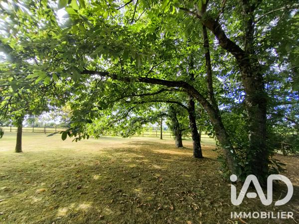 Maison à vendre 5 pièces 108 m² Condé-sur-Vire