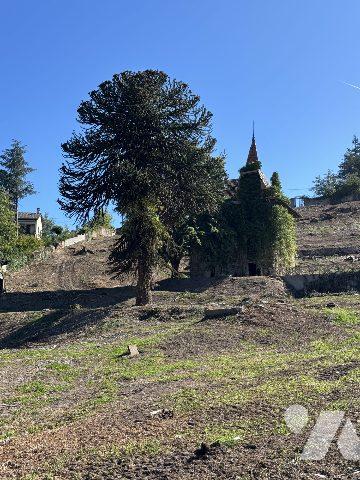 Unique à AUREC SUR LOIRE