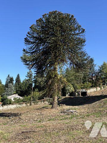 Unique à AUREC SUR LOIRE