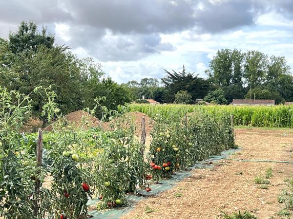 MAISON AVEC PISCINE GRAND TERRAIN ET HANGAR A 2 KMS DES PLAGES DE LONGEVILLE SUR MER