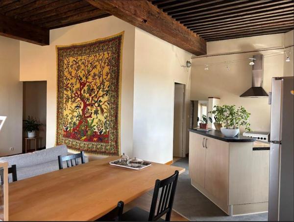 Appartement à louer à Condrieu (69420)