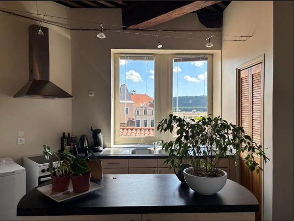 Appartement à louer à Condrieu (69420)