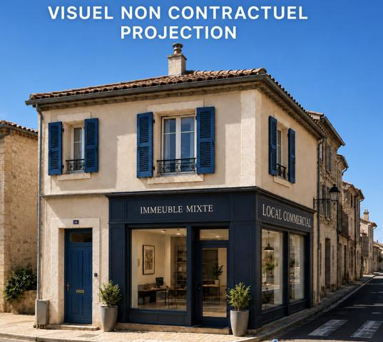 Immeuble mixte, Local commercial