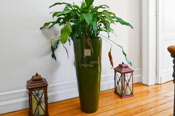 Bordeaux -Bastide  Belle  Maison familiale de caractère avec jardin et piscine
