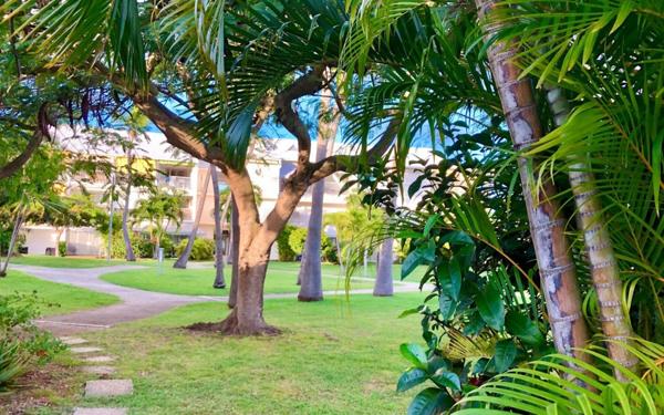 Appartement à vendre    2 pièces • 26 m2 Saint-François