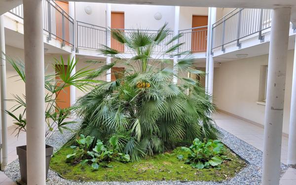 Appartement à louer    3 pièces •  Pessac