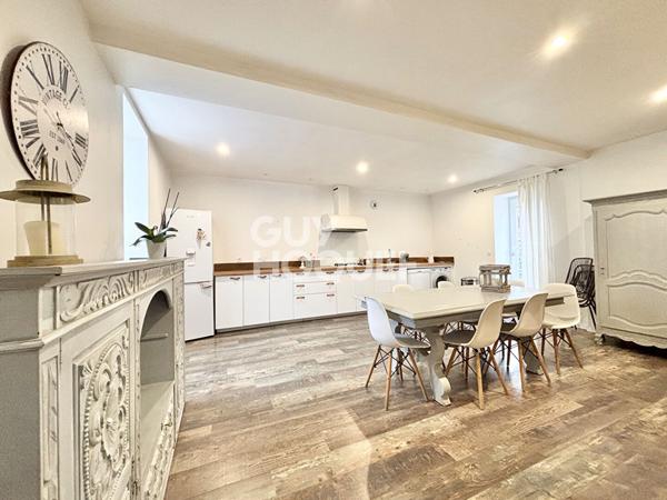 Maison proche ORTHEZ avec dépendance et jardin