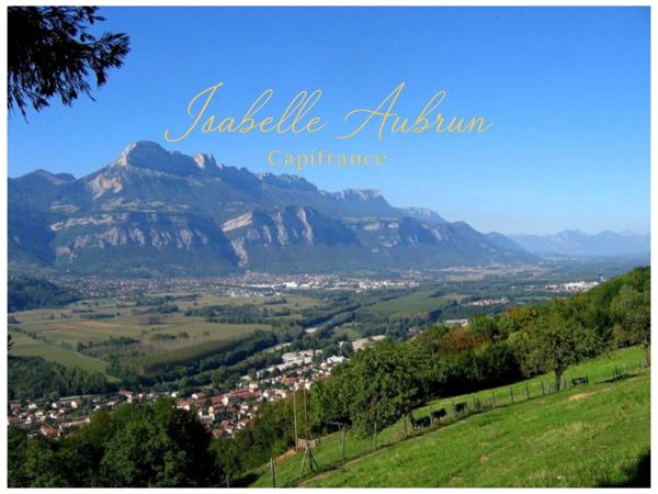 Fonds de commerce garage vente véhicule à vendre VILLARD BONNOT (38)