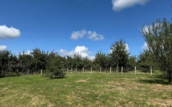 Maison à vendre    5 pièces •  Dancé