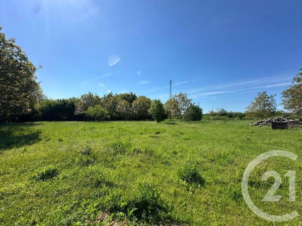 Terrain à vendre  7926 m 2   MESGRIGNY  - 10