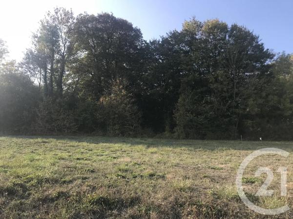 Terrain à vendre  7926 m 2   MESGRIGNY  - 10