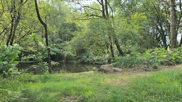 Propriété sur plus de 3 Hectares et étang