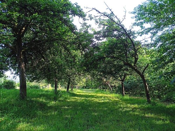 Propriété sur plus de 3 Hectares et étang