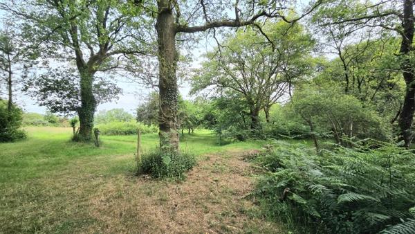 Propriété sur plus de 3 Hectares et étang