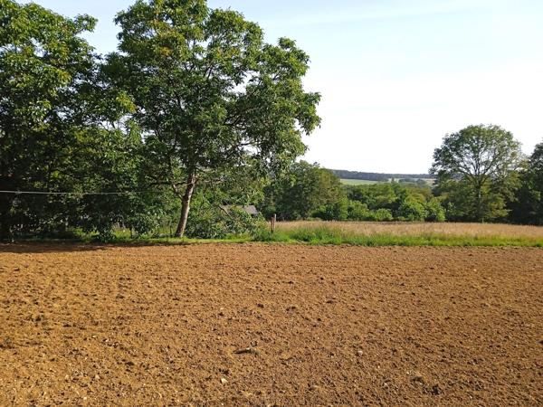 Propriété sur plus de 3 Hectares et étang