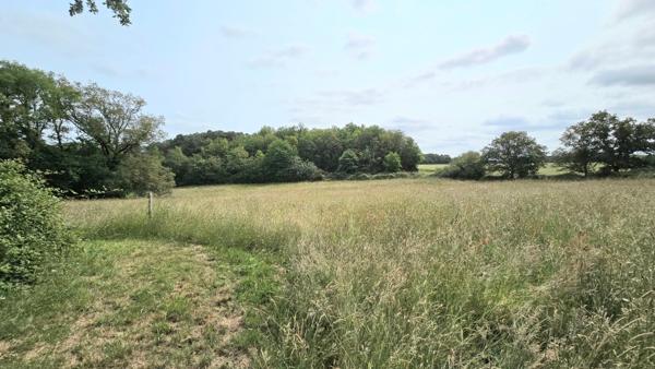 Propriété sur plus de 3 Hectares et étang