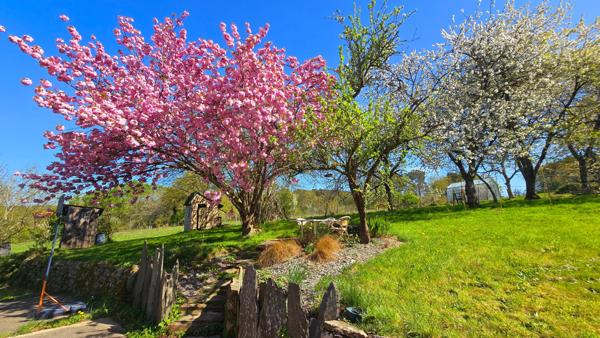 Propriété sur plus de 3 Hectares et étang