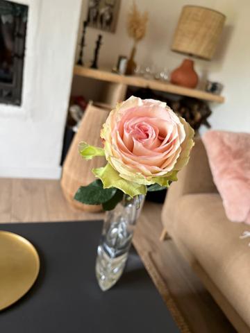 Maison 5 pièces - 132 m²