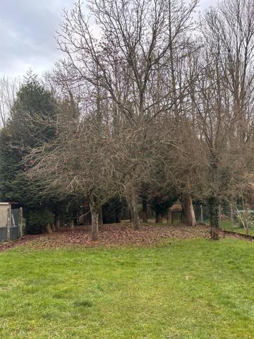 Terrain arboré constructible a vendre