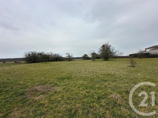 Maison à vendre  5 pièces - 144,38 m2 ETAIS LA SAUVIN - 89