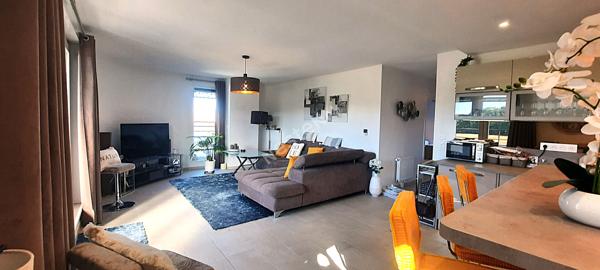 Appartement Erstein 3/4 pièce(s) 87.88 m2, terrasse de 80m2