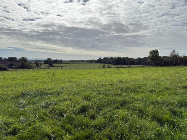 PROCHE MONT-SOUS-VAUDREY