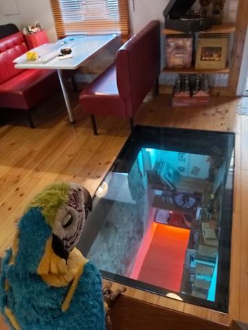 Atypique, rare, 1ch, jardin, préau voitures