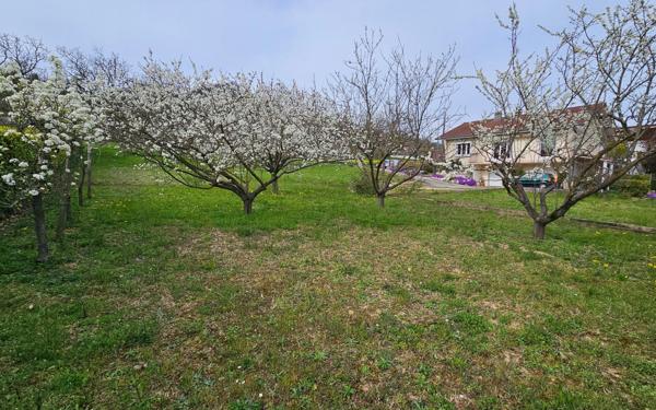 Terrain à vendre    Saint-Marcellin