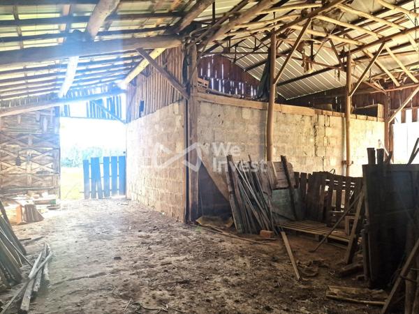 Moissac — Maison/ferme de 230 m² sur 1,9 ha, dépendances et potentiel équestre/agricole