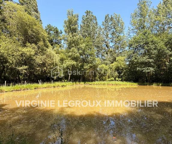 A la recherche d'un écrin de verdure pour passer de bons moments en famille ou entre amis, autour d'une pièce d'eau ombragée... ? 
Lisez la suite, j'ai peut-être ce que vous recherchez.
Sur une parcelle d'un hectare et demi, non seulement vous pourrez passer de bons moments de pêche et de belles balades mais vous pourrez aussi profiter d'un grand verger avec de nombreuses variétés de fruits... 
Vous aimez faire des confiture ou encore du cidre, vous pourrez vous faire plaisir avec les nombreux fruits à récolter !
Vous souhaitez faire un potager, un grand espace vous le permettra également et tout cela aux portes de la ville. 
Alors, ce terrain vous intéresse ? Appelez-moi pour plus de renseignements et prévoir une visite !