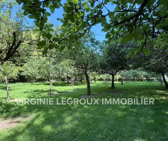 A la recherche d'un écrin de verdure pour passer de bons moments en famille ou entre amis, autour d'une pièce d'eau ombragée... ? 
Lisez la suite, j'ai peut-être ce que vous recherchez.
Sur une parcelle d'un hectare et demi, non seulement vous pourrez passer de bons moments de pêche et de belles balades mais vous pourrez aussi profiter d'un grand verger avec de nombreuses variétés de fruits... 
Vous aimez faire des confiture ou encore du cidre, vous pourrez vous faire plaisir avec les nombreux fruits à récolter !
Vous souhaitez faire un potager, un grand espace vous le permettra également et tout cela aux portes de la ville. 
Alors, ce terrain vous intéresse ? Appelez-moi pour plus de renseignements et prévoir une visite !