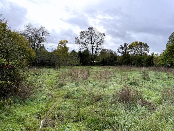 Terrain Saint Cyr En Talmondais 1800 m2