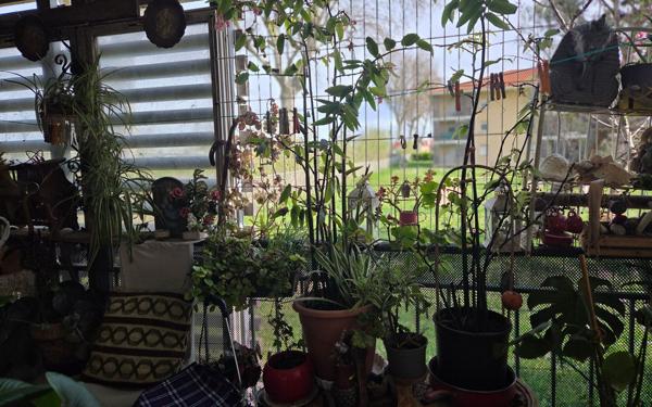 Appartement à vendre    3 pièces • 52,50 m2 Saint-Laurent-de-la-Salanque