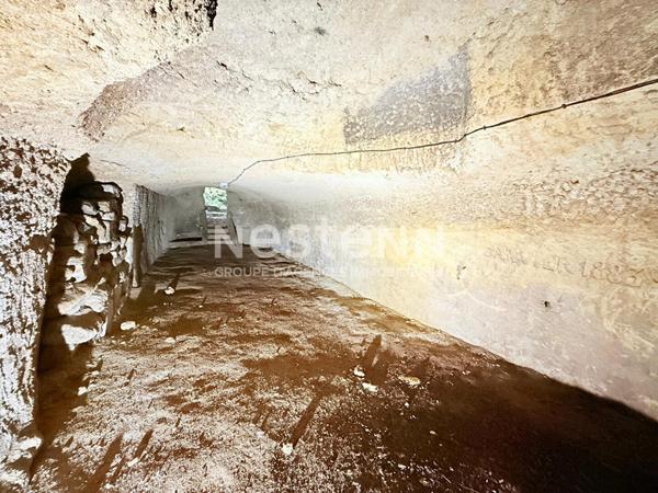 A vendre - Maison de maître - 6 pièces - 128m² - Doué en Anjou - D5918