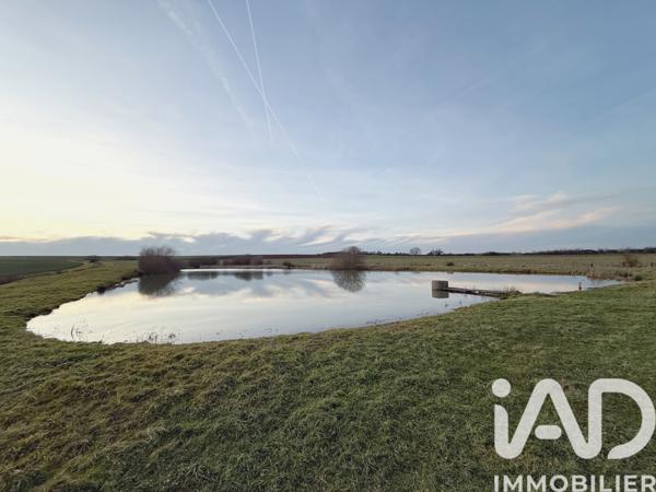 Terrain à vendre 35 736 m² Thimonville