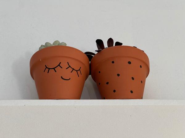 Maison Familiale avec Piscine 5 chambres possibilité 6