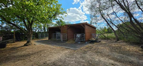 Ecrin de 11 000 m², chevaux et piscine intérieure