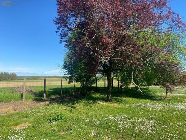 Maison rurale à vendre à Argy dans l'Indre (36500), ref : 1050648