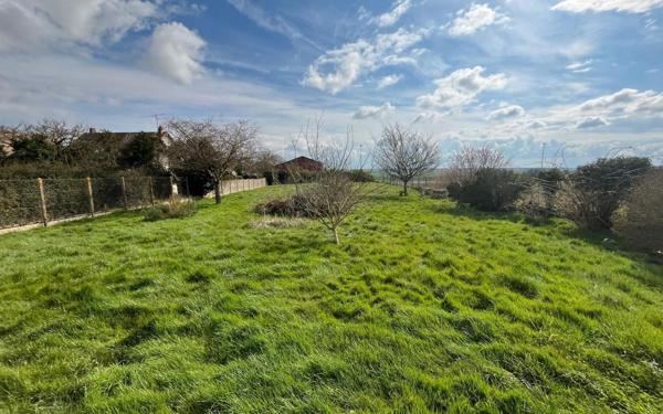 Terrain à vendre    Berchères-Saint-Germain