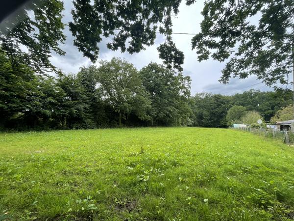 Terrain - 2265 m²