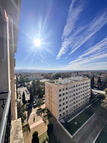 Location / Appartement T3