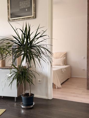 Appartement coup de coeur au coeur du vignoble