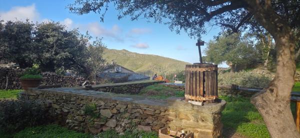 Meria (20287) Maison avec studio indépendant et garage à Meria