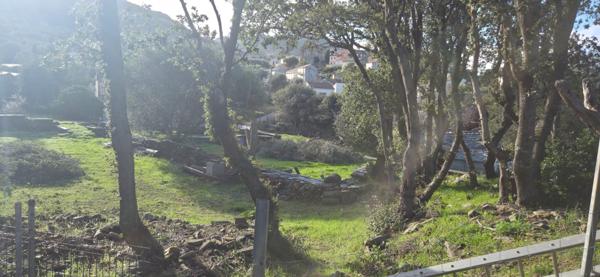 Meria (20287) Maison avec studio indépendant et garage à Meria