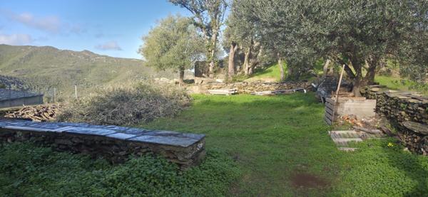 Meria (20287) Maison avec studio indépendant et garage à Meria