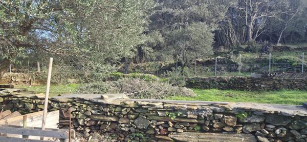 Meria (20287) Maison avec studio indépendant et garage à Meria