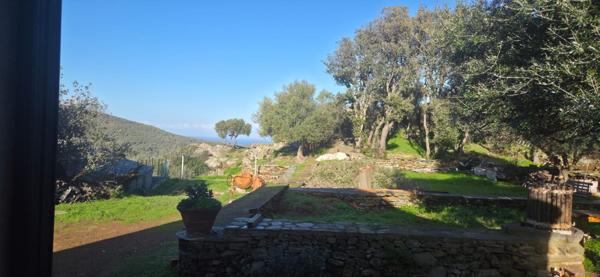 Meria (20287) Maison avec studio indépendant et garage à Meria